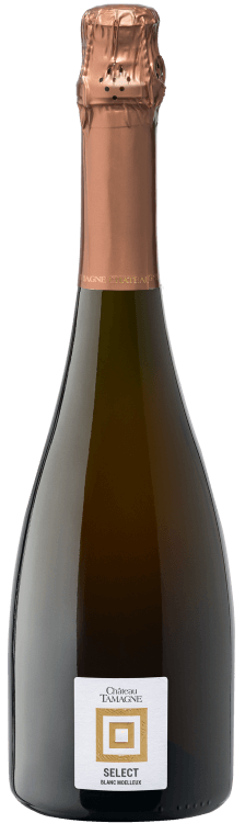 ИГРИСТОЕ CHATEAU TAMAGNE SELECT BLANC